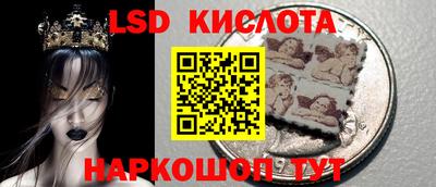 прущие грибы Комсомольск-на-Амуре