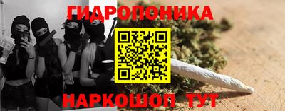прущие грибы Комсомольск-на-Амуре